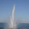 Bild 026